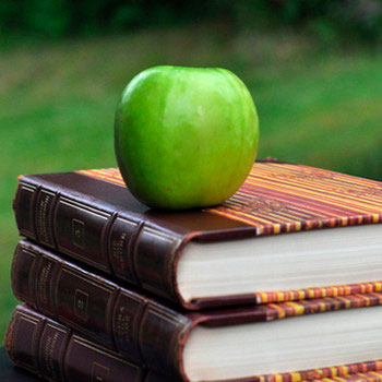 Faculty of Medicine Doctoral Disseration Series