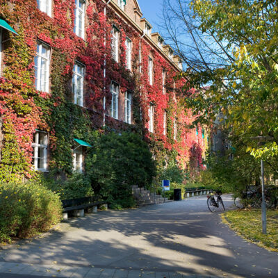 Department of Sociology