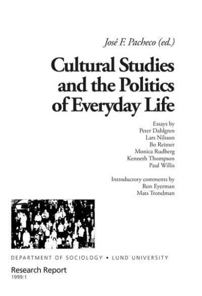 Cultural Studies and the Politics of Everyday Life