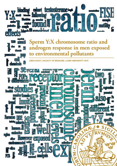Sperm Y:X chromosome ratio and androgen response in men exposed to environmental pollutants