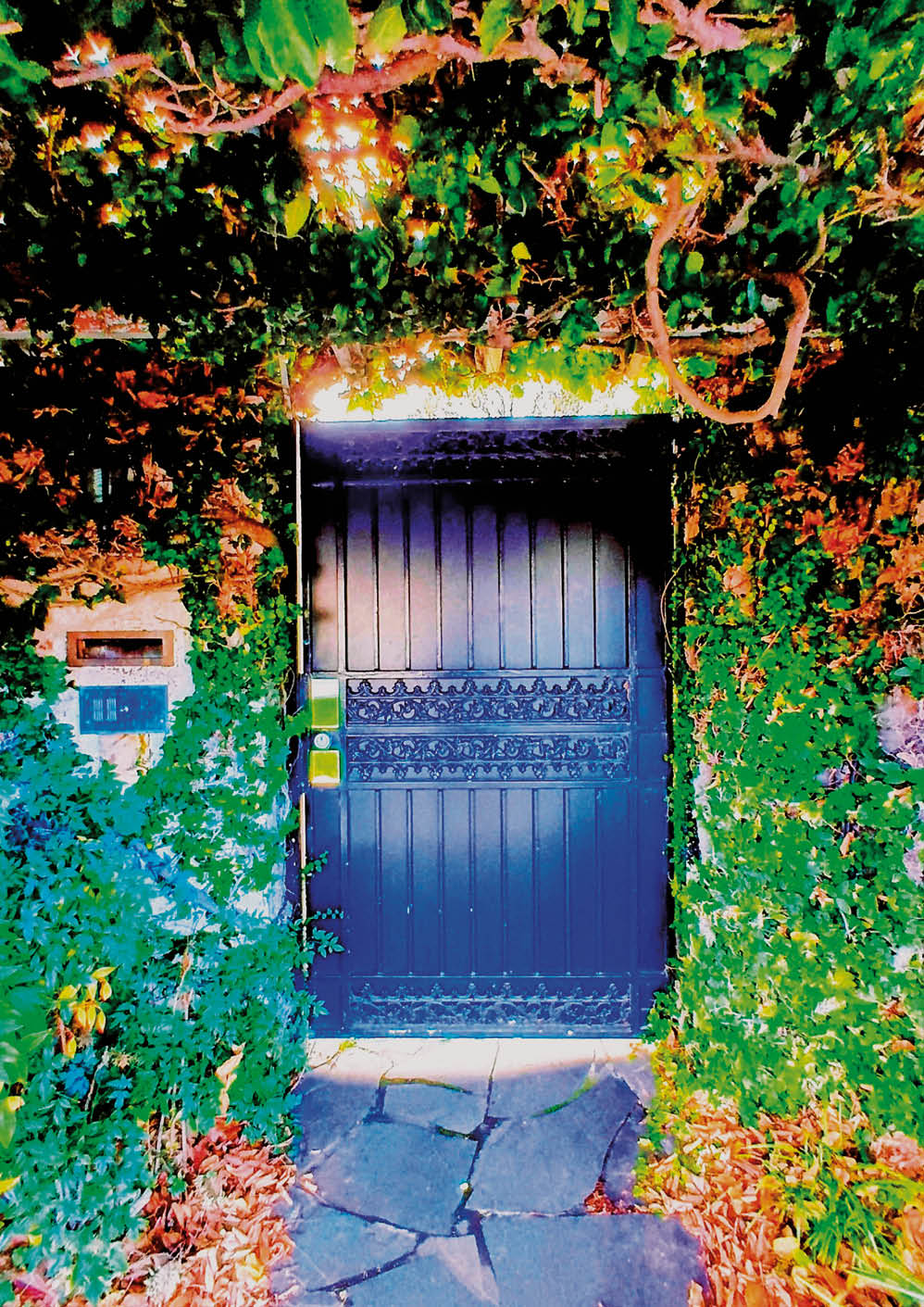 Elsternwickian Encounters, Engagements and Endeavours