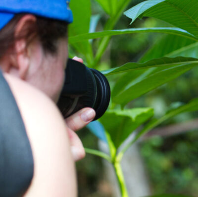 Physical Geography and Ecosystem Science